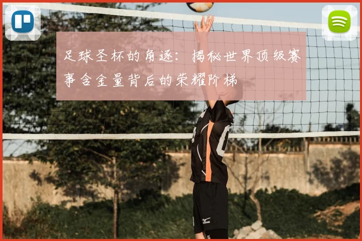 足球圣杯的角逐:揭秘世界顶级赛事含金量背后的荣耀阶梯